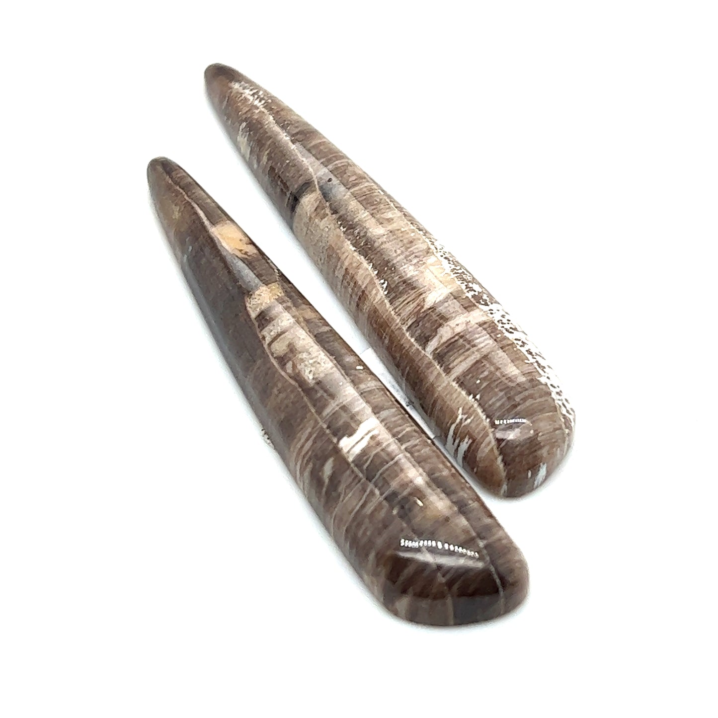 Hells Canyon Petrified Wood - 41.80tcw