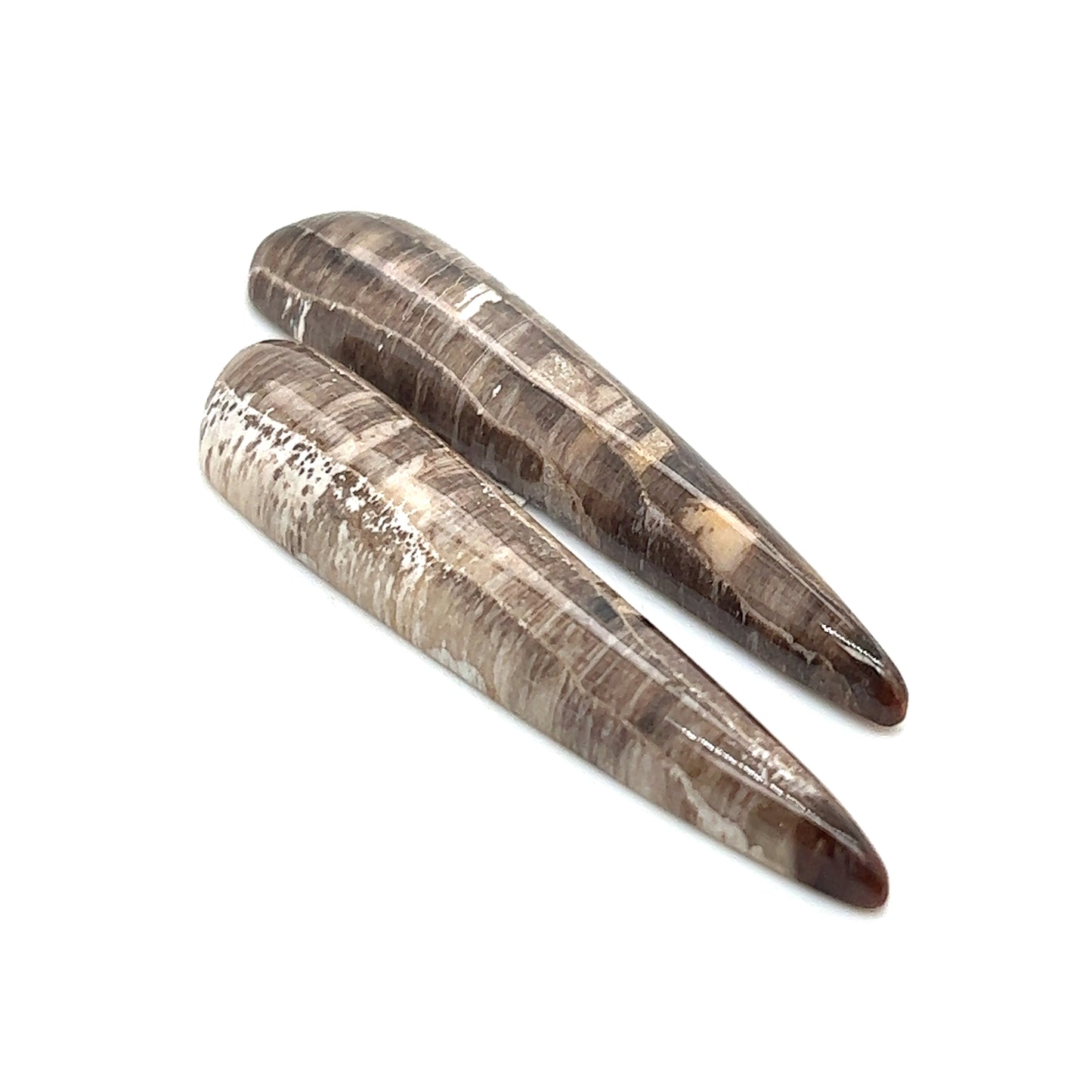 Hells Canyon Petrified Wood - 41.80tcw