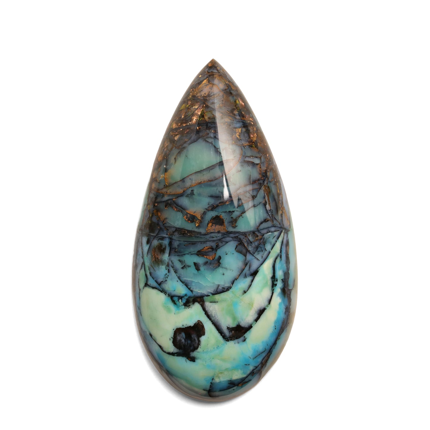 Indonesian Opalized Wood - 76.85cts