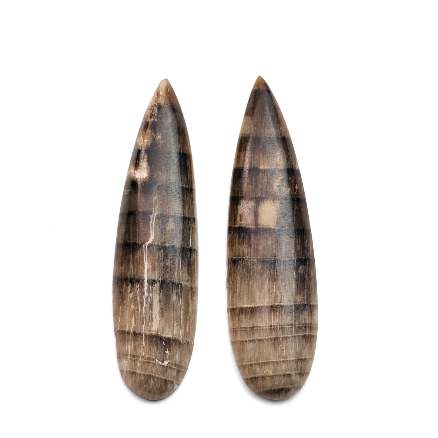 Hells Canyon Petrified Wood - 13.95cts