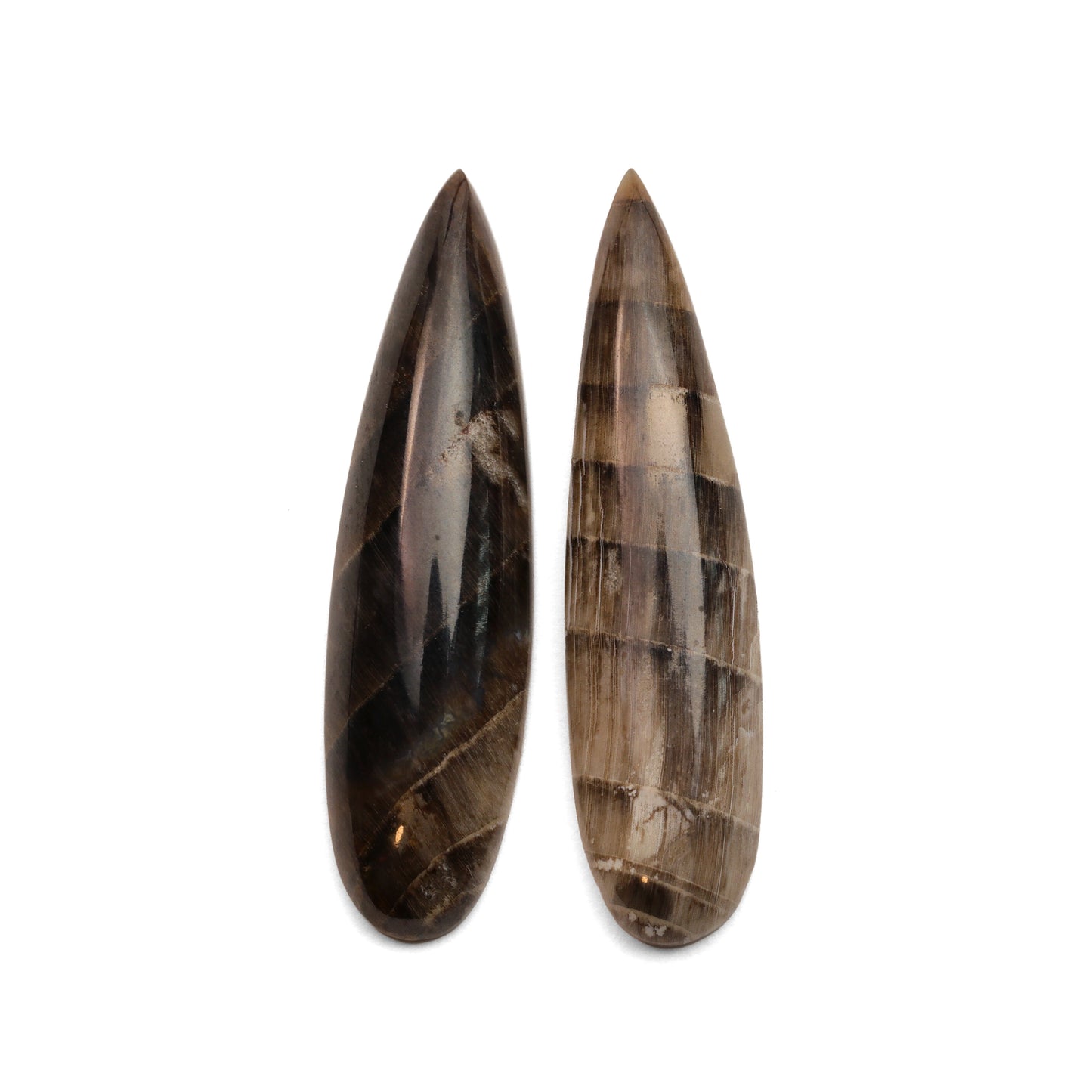 Hells Canyon Petrified Wood - 14.85cts