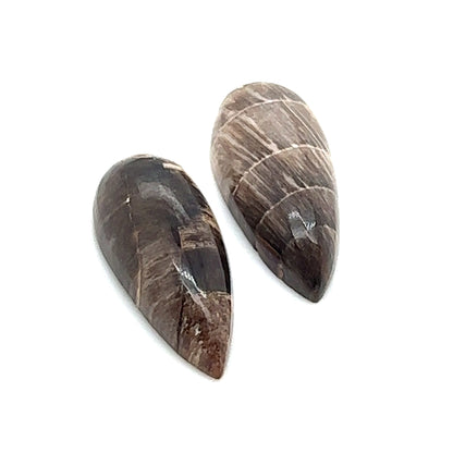 Hells Canyon Petrified Wood Set - 12.35tcw