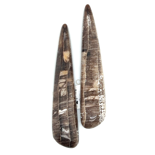 Hells Canyon Petrified Wood - 41.80tcw