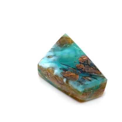 Indonesian Opalized Wood - 51.50cts