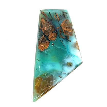 Indonesian Opalized Wood - 51.50cts