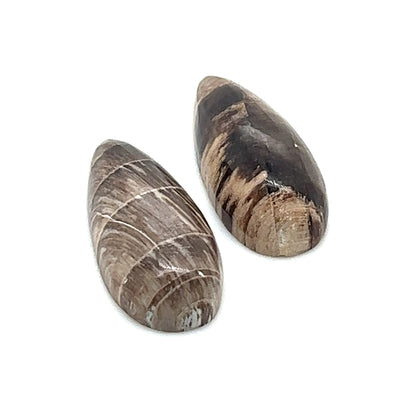 Hells Canyon Petrified Wood Set - 12.35tcw