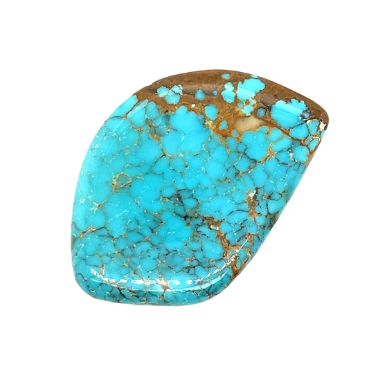 Nevada Turquoise - 53.20