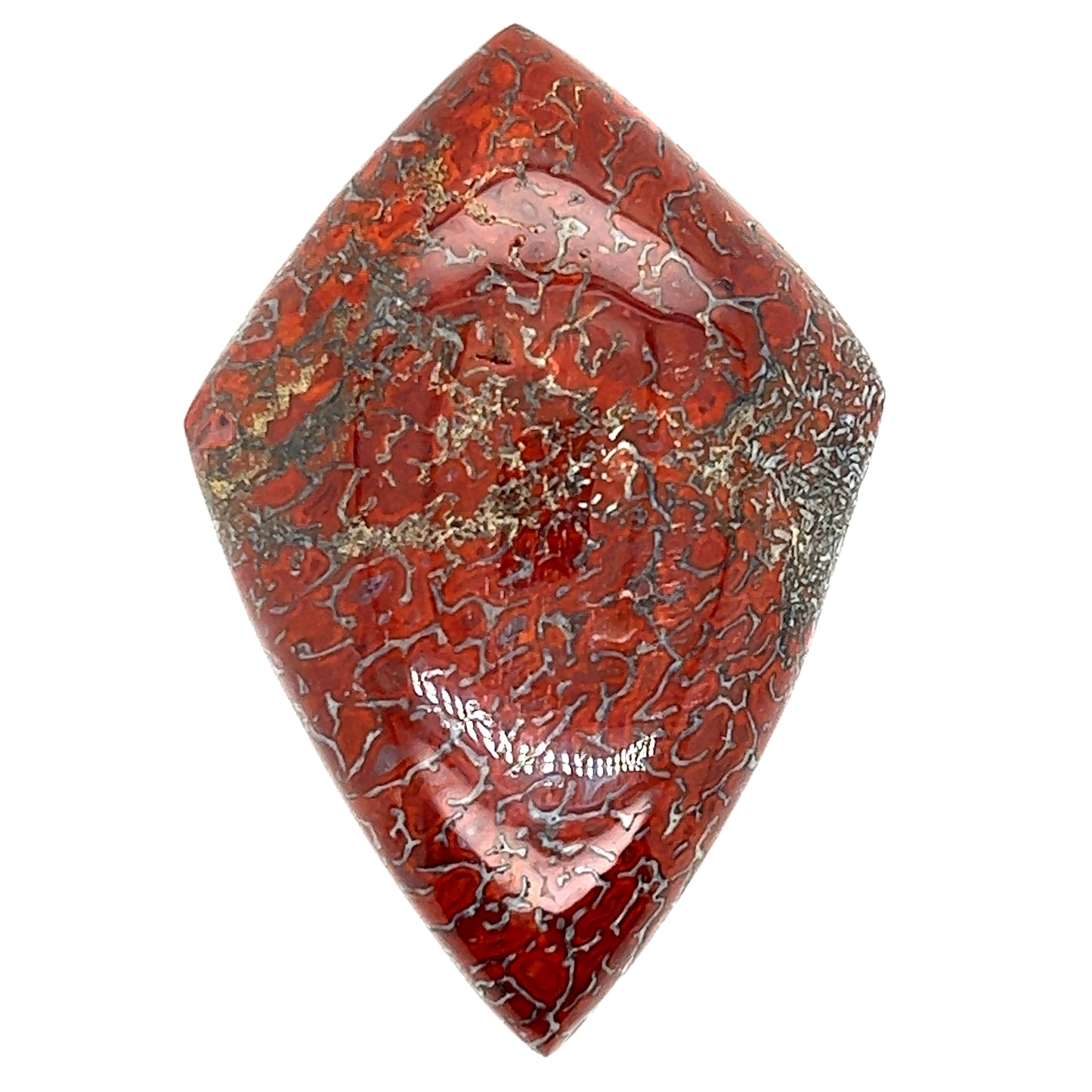 Dinosaur Bone - 60.90cts