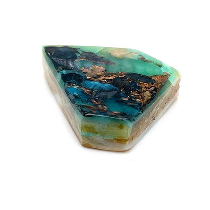 Indonesian Opalized Wood - 42.15cts