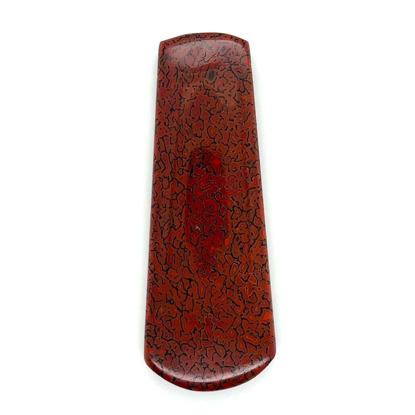 Side Drilled Agatized Dinosaur Bone - 69.20cts
