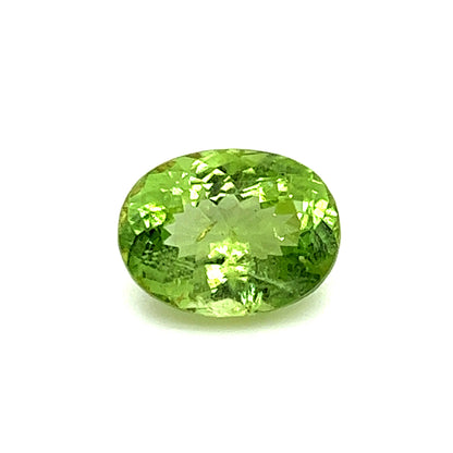 Pakistan Peridot - 12.21cts