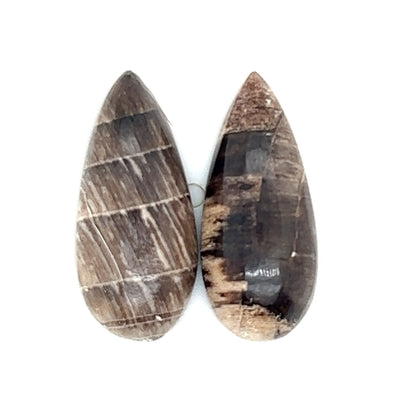 Hells Canyon Petrified Wood Set - 12.35tcw