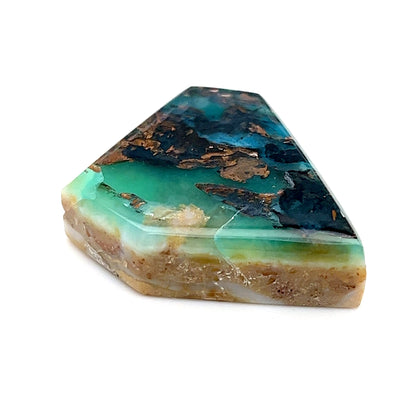 Indonesian Opalized Wood - 42.15cts