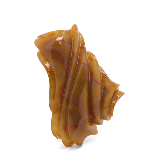 Coyamito Agate - 34.20cts