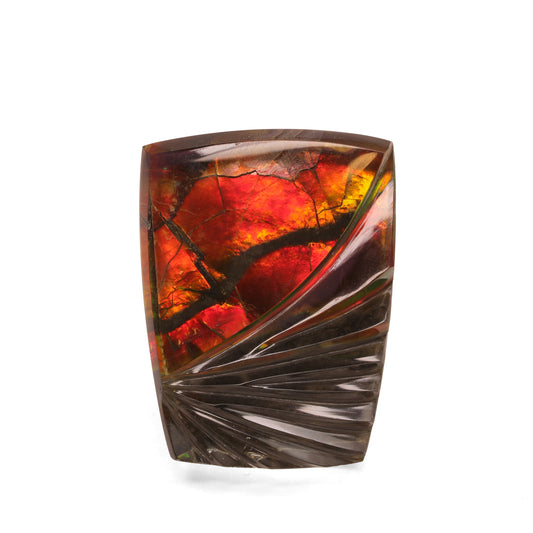 Quartz Topped Ammolite - 16.45cts