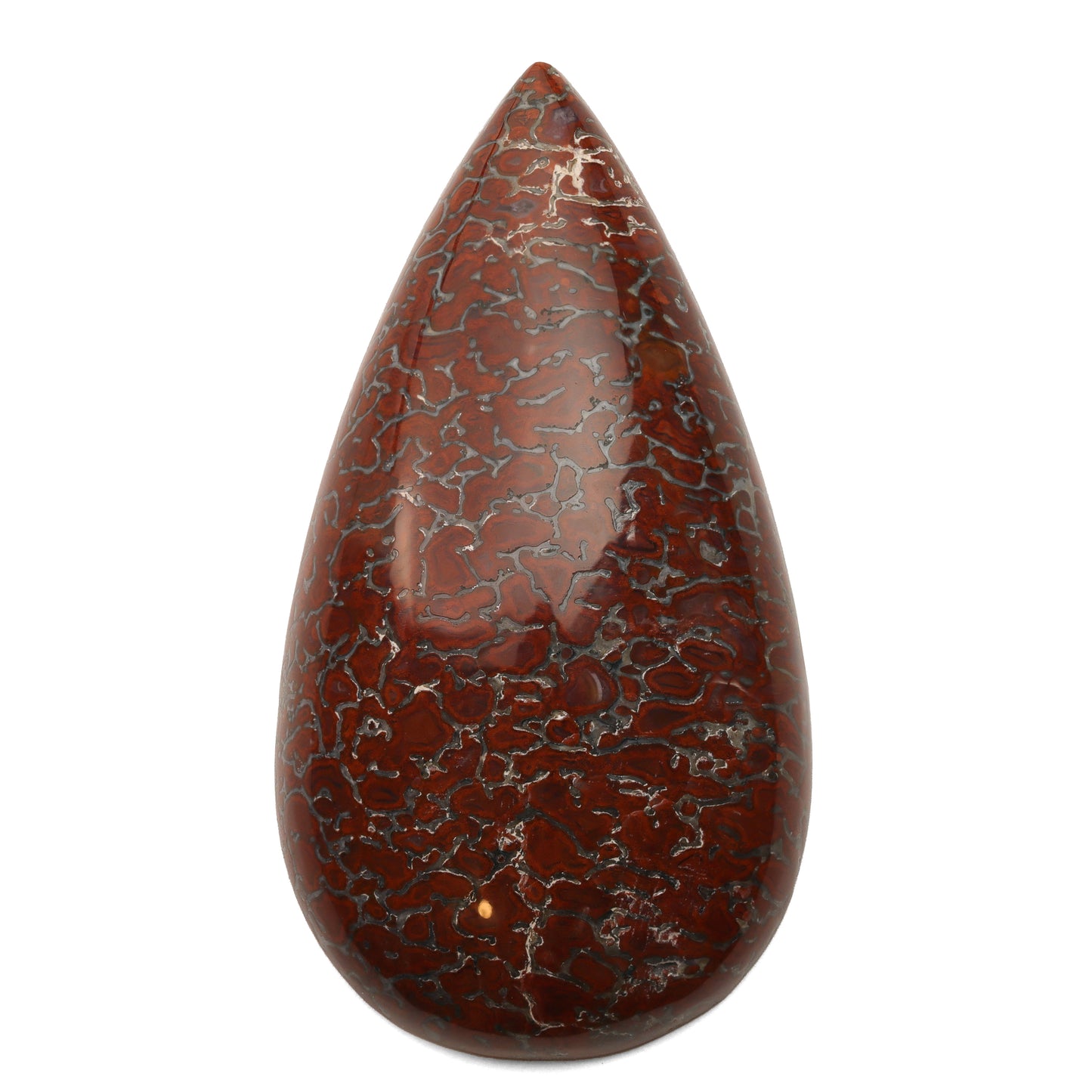 Dinosaur Bone - 56.20cts