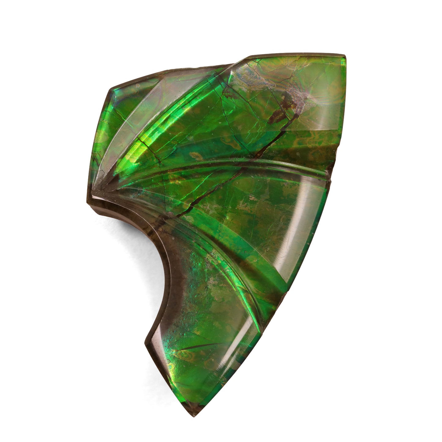 Quartz Ammolite Doublet - 9.65cts