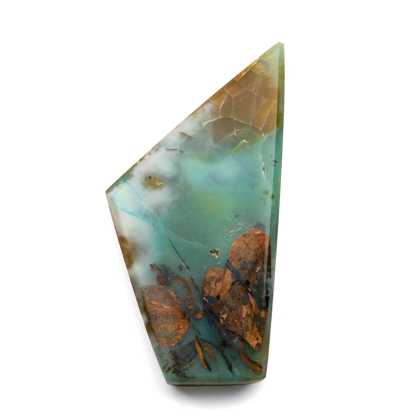 Indonesian Opalized Wood - 51.50cts