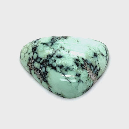 New Landers Variscite - 47.70cts