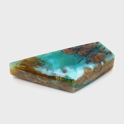 Indonesian Opalized Wood - 51.50cts