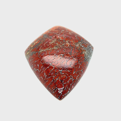 Dinosaur Bone - 60.90cts