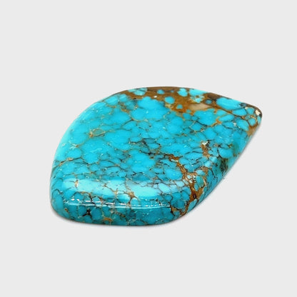 Nevada Turquoise - 53.20