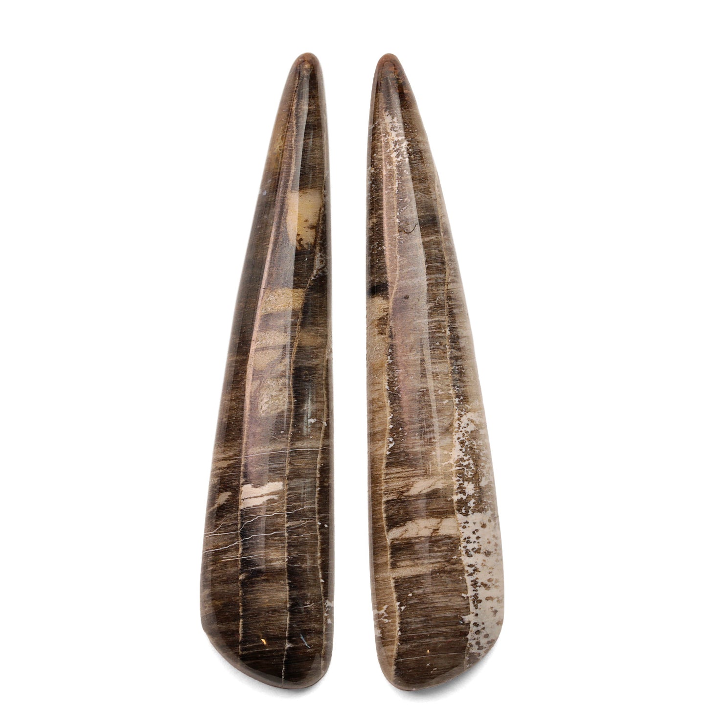 Hells Canyon Petrified Wood - 41.80tcw