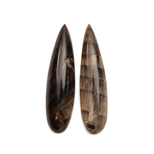 Hells Canyon Petrified Wood - 14.85cts