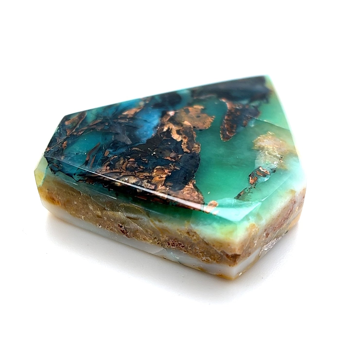 Indonesian Opalized Wood - 51.55cts