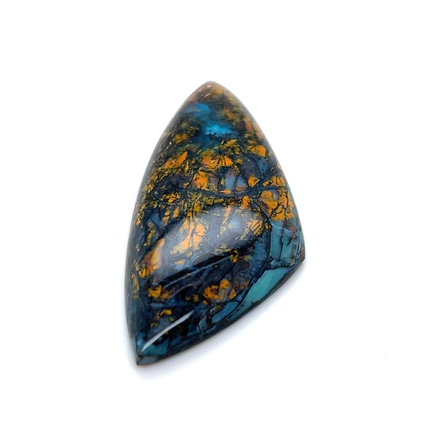 Indonesian Opalized Wood - 56.10cts