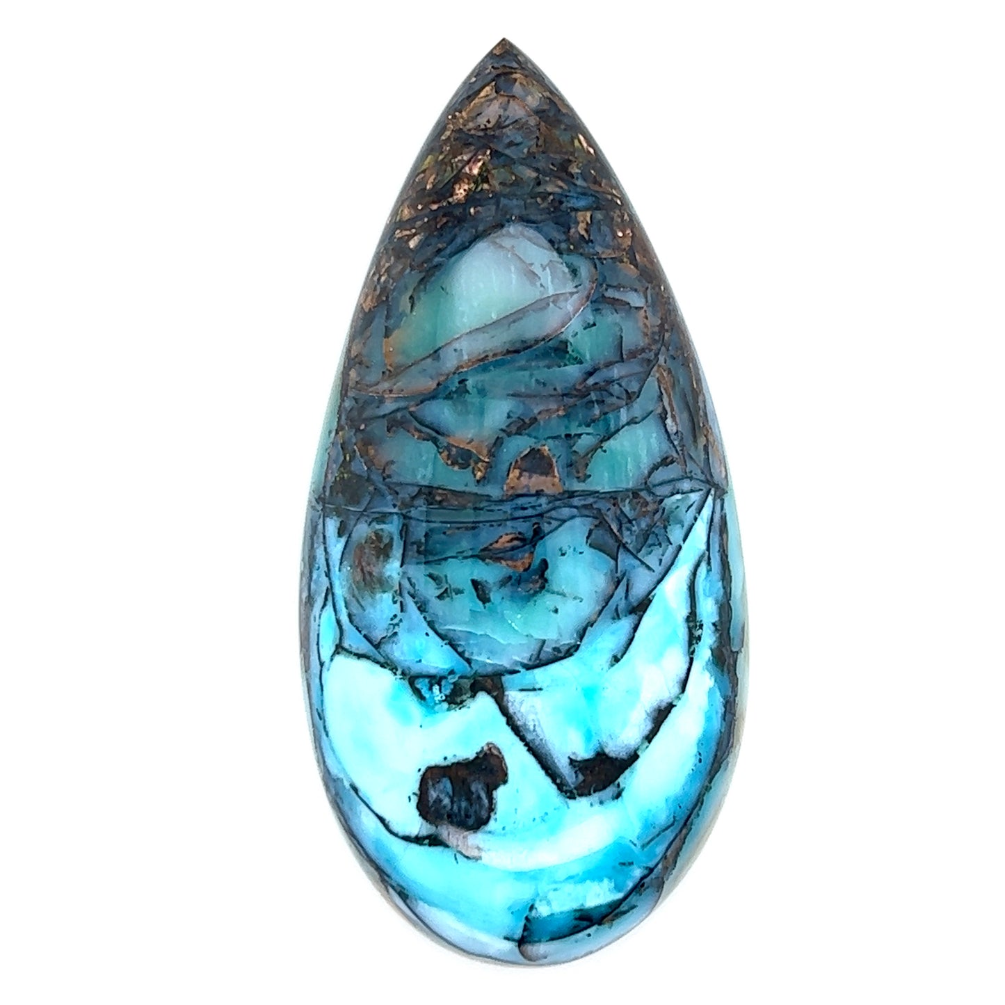 Indonesian Opalized Wood - 76.85cts