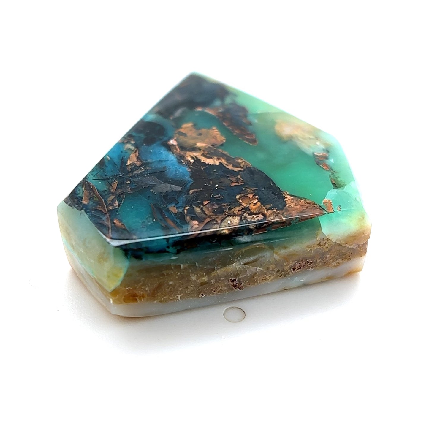 Indonesian Opalized Wood - 51.55cts