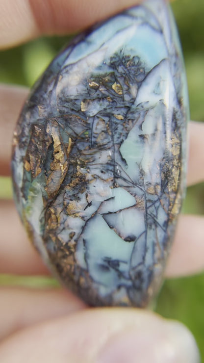 Indonesian Opalized Wood - 84.20cts