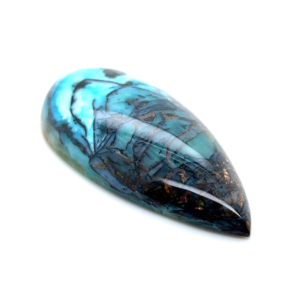 Indonesian Opalized Wood - 76.85cts