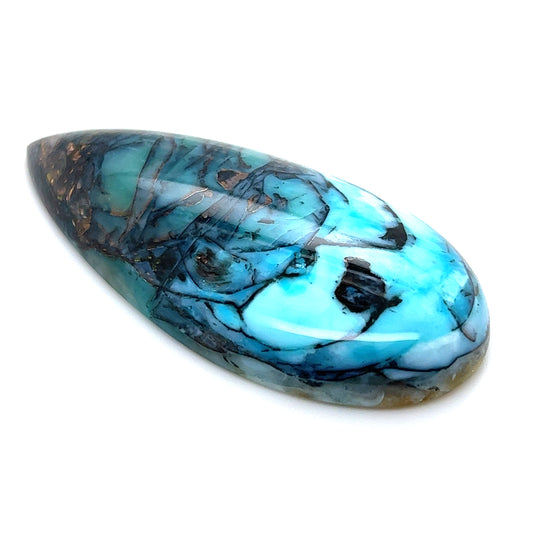 Indonesian Opalized Wood - 76.85cts