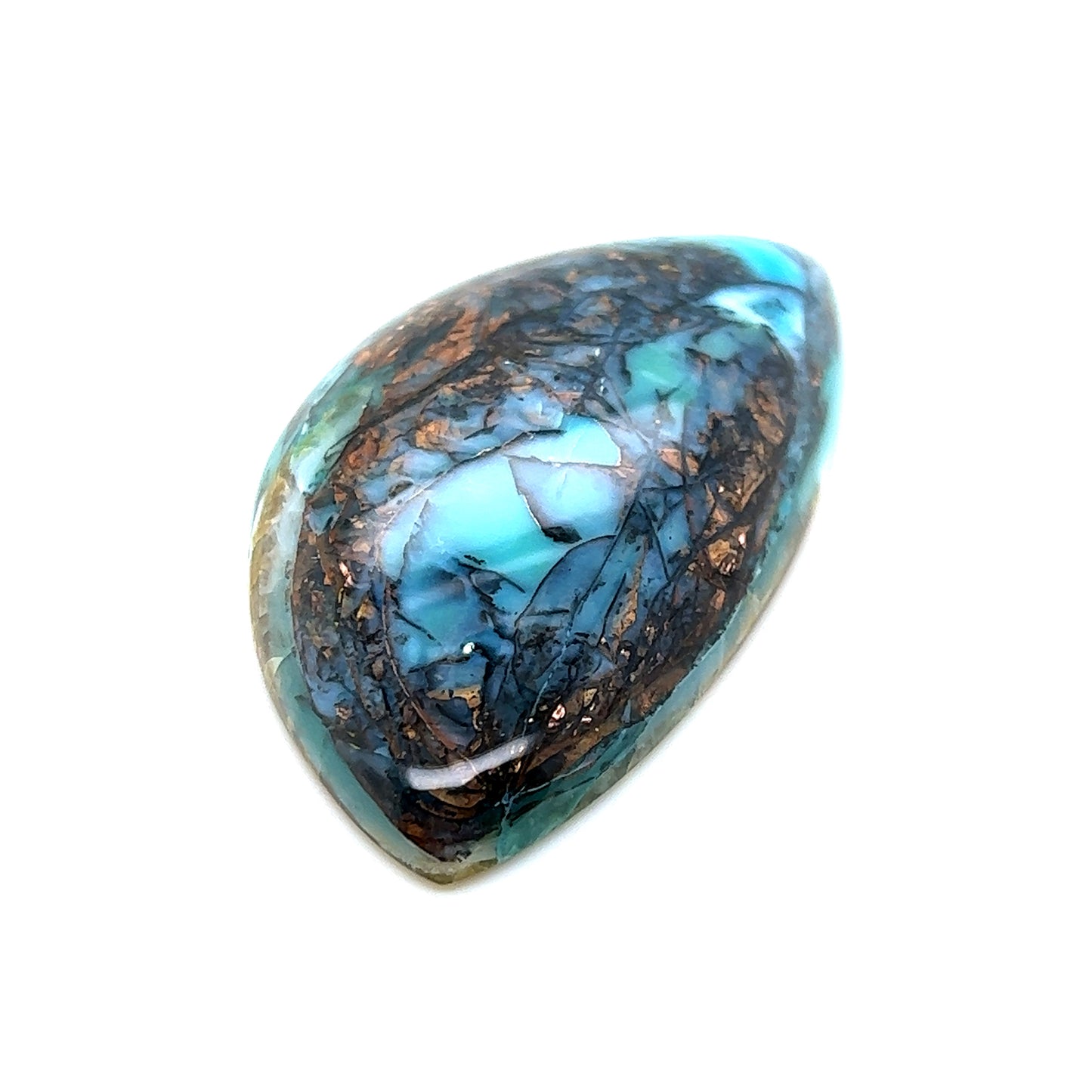 Indonesian Opalized Wood - 84.20cts