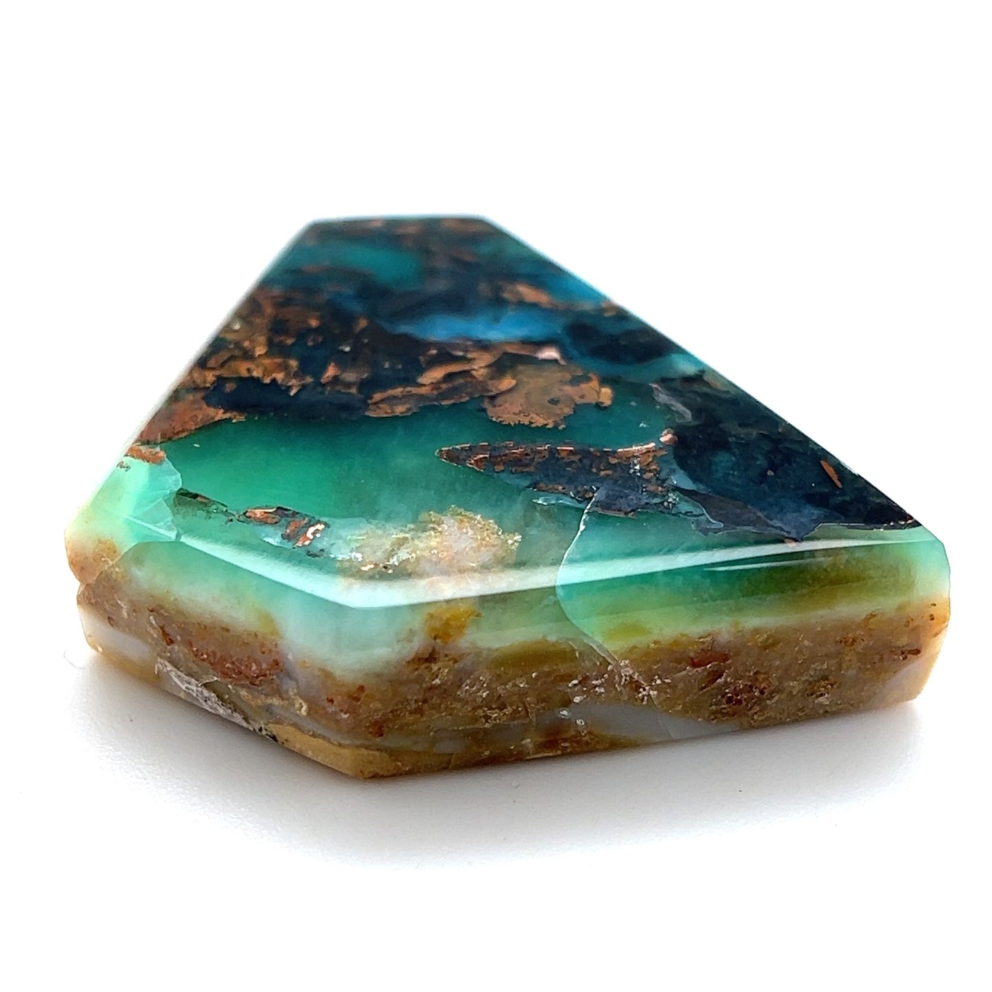 Indonesian Opalized Wood - 51.55cts