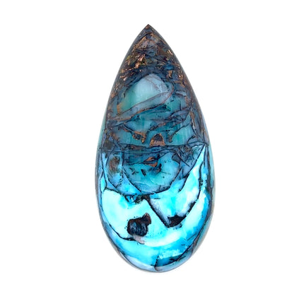 Indonesian Opalized Wood - 76.85cts