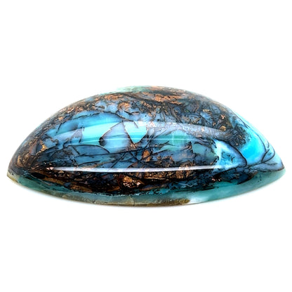 Indonesian Opalized Wood - 84.20cts