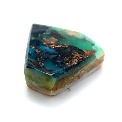 Indonesian Opalized Wood - 51.55cts