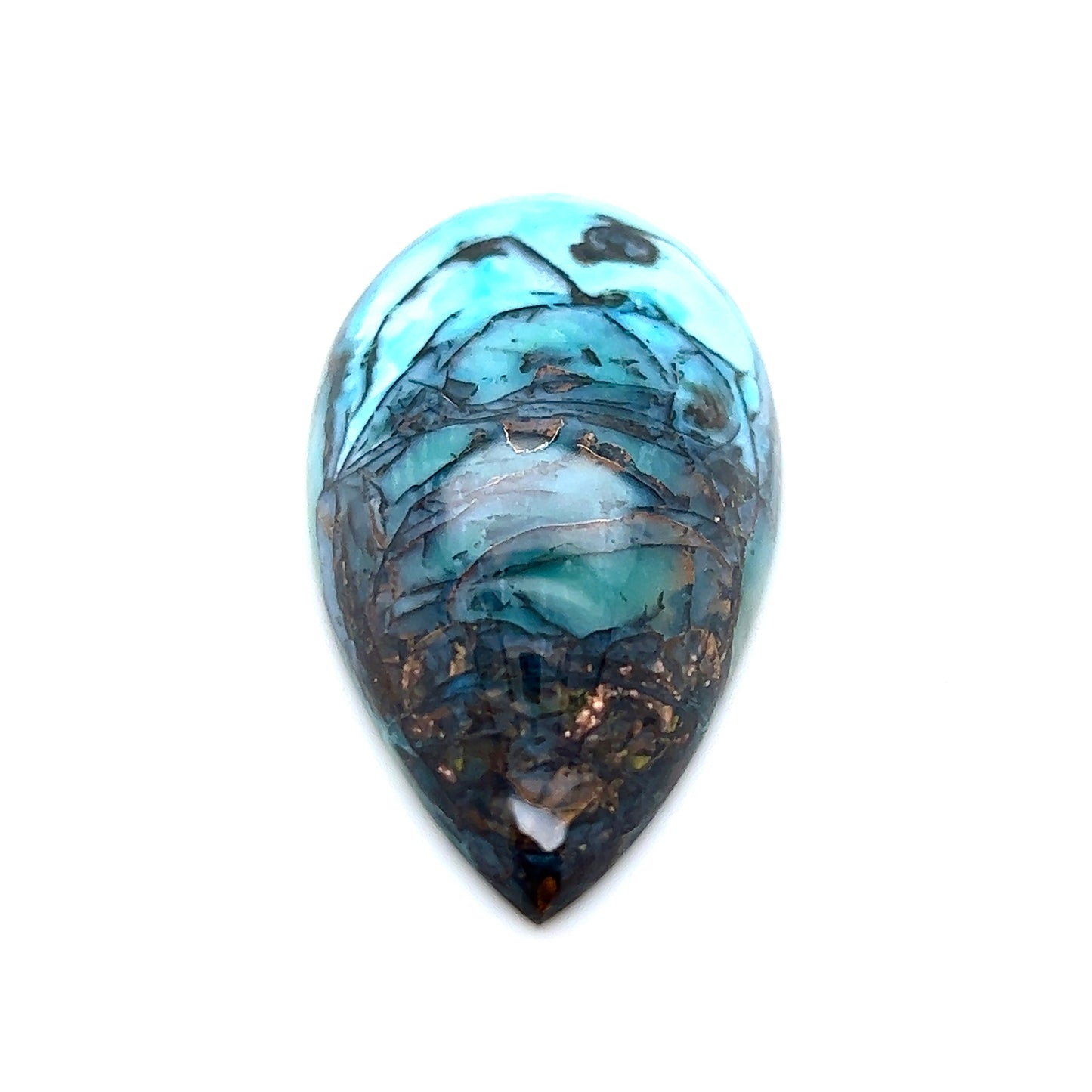 Indonesian Opalized Wood - 76.85cts