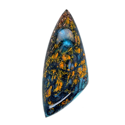 Indonesian Opalized Wood - 56.10cts