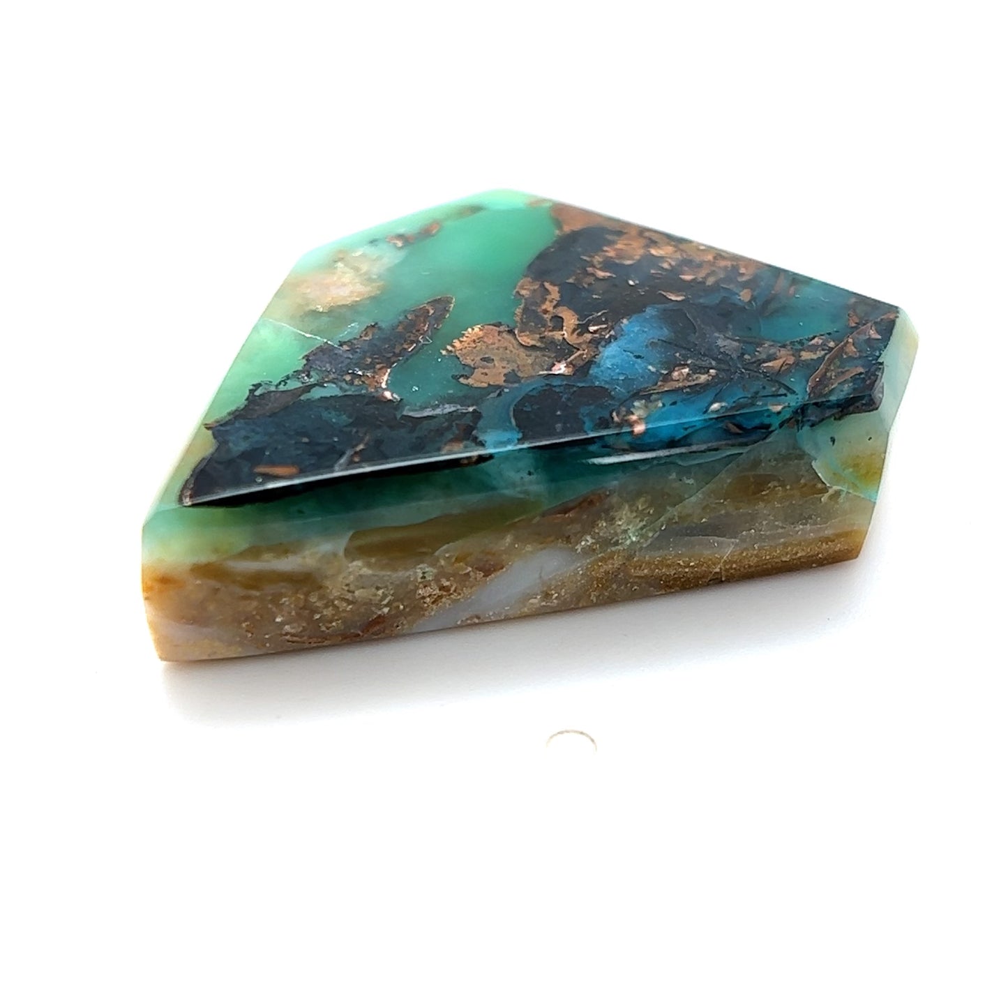 Indonesian Opalized Wood - 51.55cts