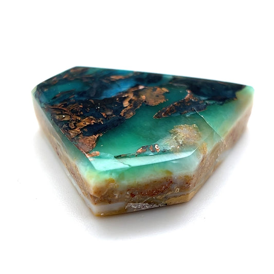 Indonesian Opalized Wood - 51.55cts