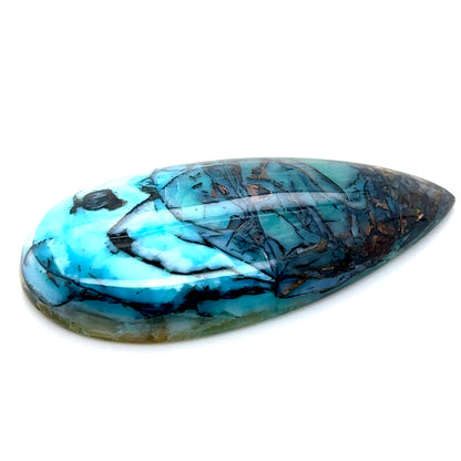 Indonesian Opalized Wood - 76.85cts